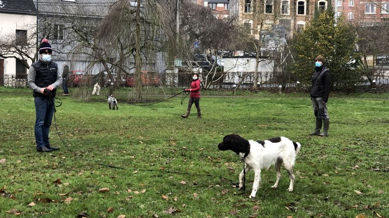 Une génération de chiens mal élevés à cause du coronavirus ?