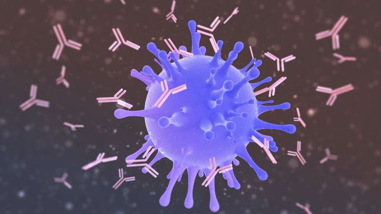 Découverte COVID-19 : le virus a deux serrures pour se propager dans notre corps, et non une seule