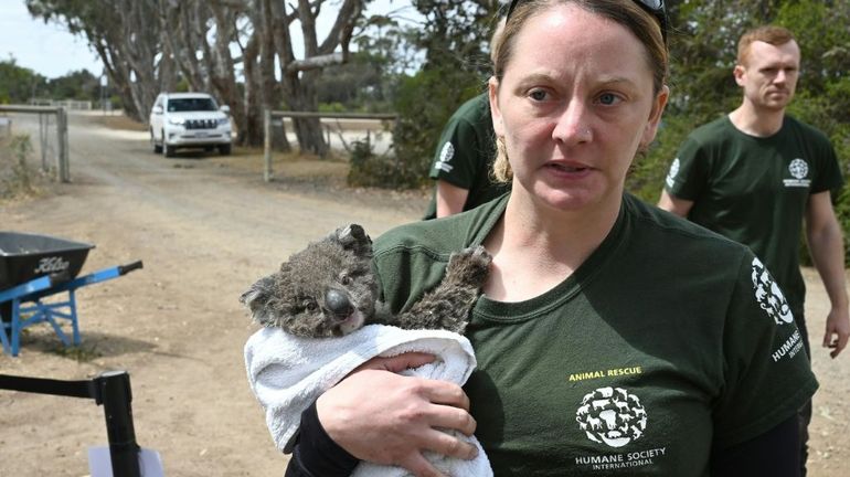 Australie: 32 espèces en danger critique d'extinction après les incendies