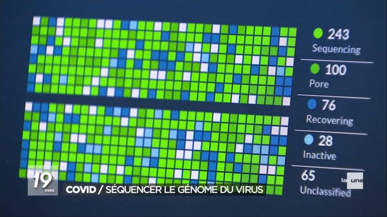 Séquençage génomique du coronavirus : à quoi ça sert et comment ça marche ?