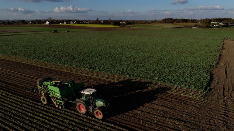Bruxelles va acheter des terres agricoles dans les deux Brabants : la Région wallonne réagit