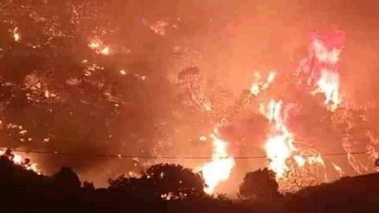 Algérie : deux décès dans des feux de forêt