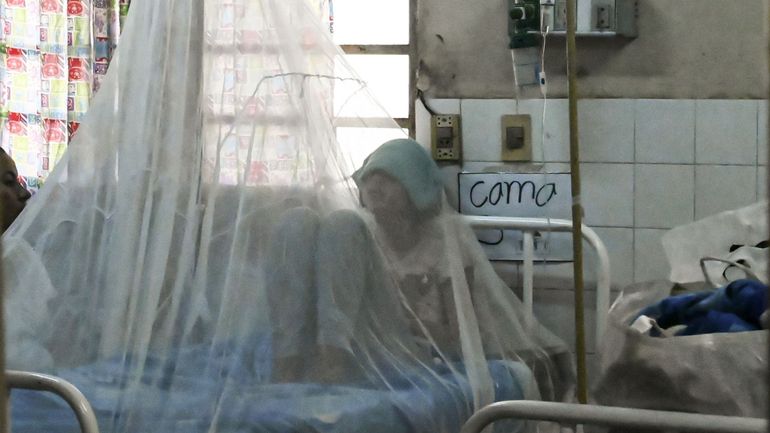 La dengue, la fièvre jaune et le paludisme font bien plus de ravages dans le monde que le coronavirus