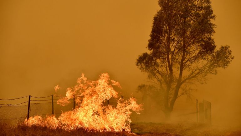 Record de chaleur dans la capitale australienne, menacée par les feux de forêt