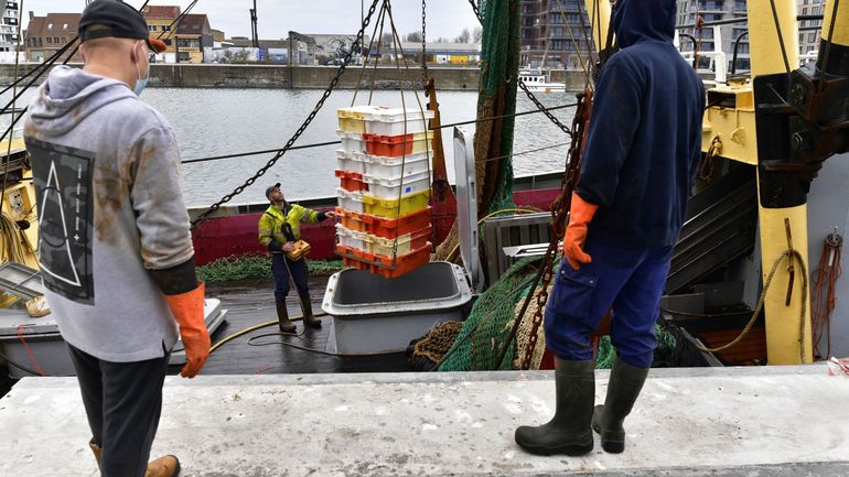 FEB, Fevia, UWE, pêcheurs flamands: les réactions mesurées du monde économique belge à l'accord Brexit