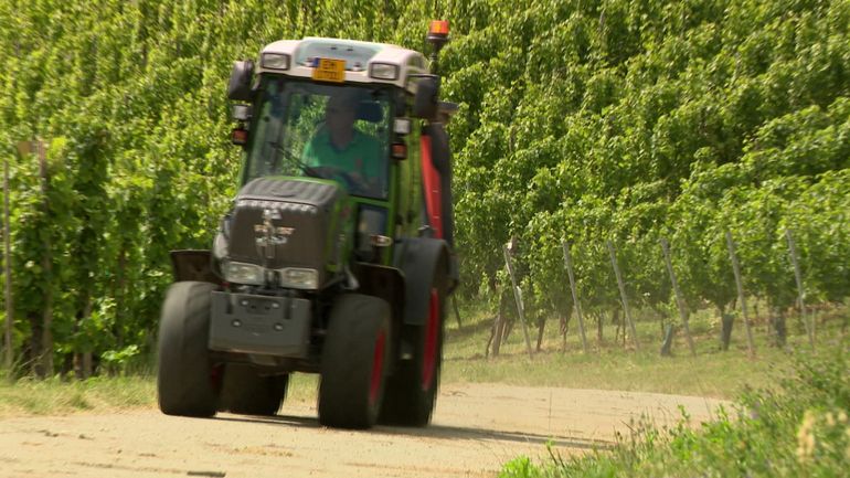 Au Luxembourg, le glyphosate vit ses dernières heures