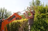 Entretenir son potager avec un minimum d'efforts !