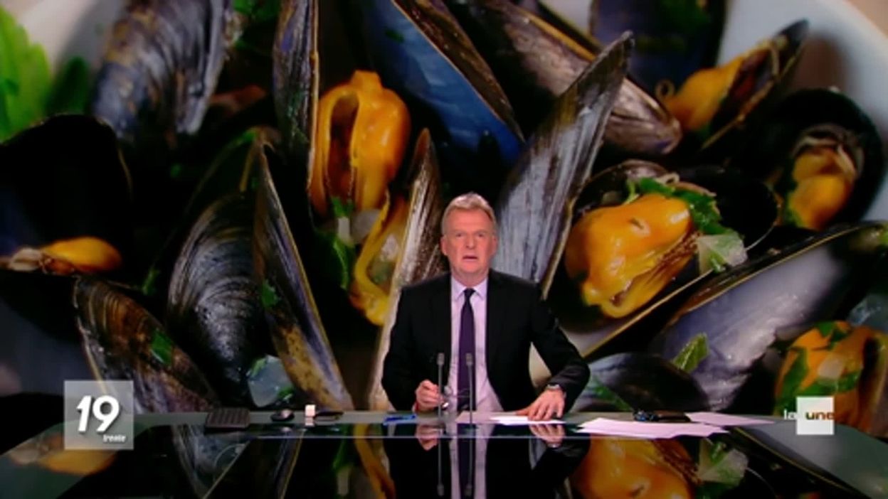 Quand faut-il acheter des moules ?