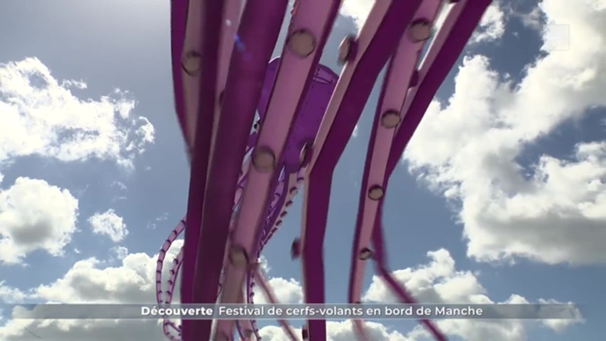 Découverte : festival de cerfs-volants en bord de Manche