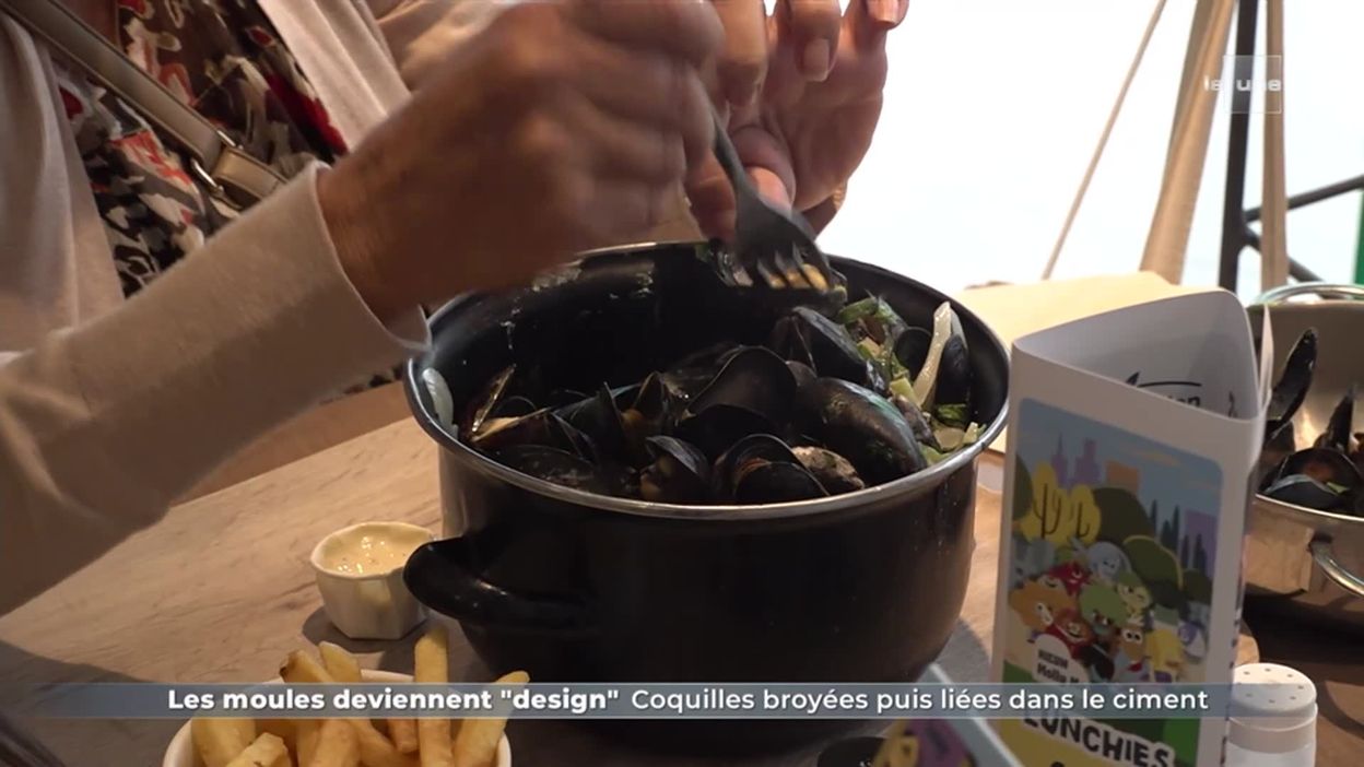 Les moules deviennent "design"/ Coquilles broyées puis liées dans le ciment