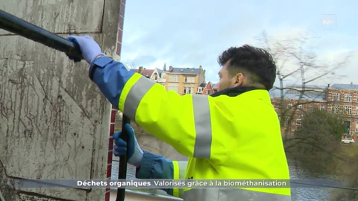 Lombricompostage : Des vers pour recycler ses déchets organiques