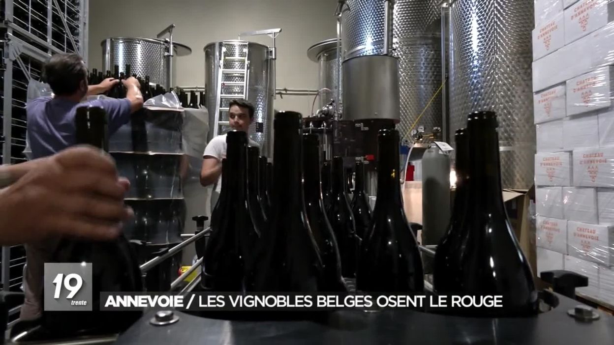 Annevoie / Les vignobles belges osent le rouge