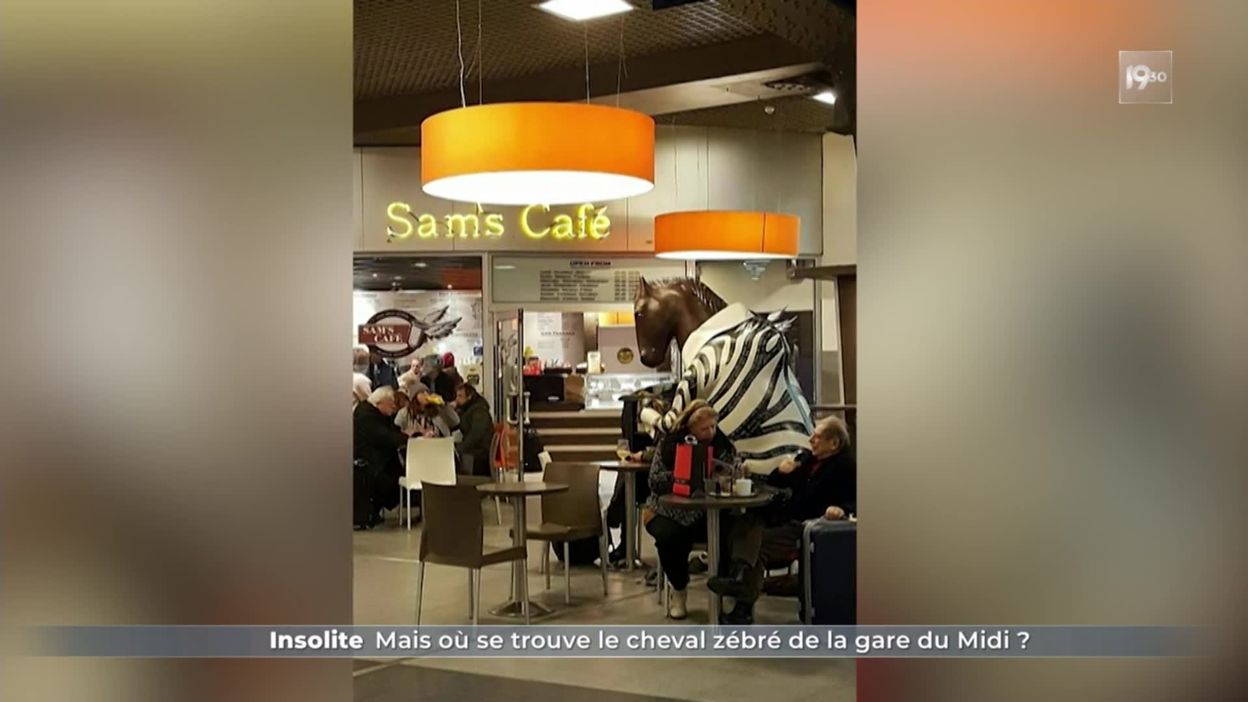 Insolite : mais où se trouve le cheval zébré de la gare du Midi ?