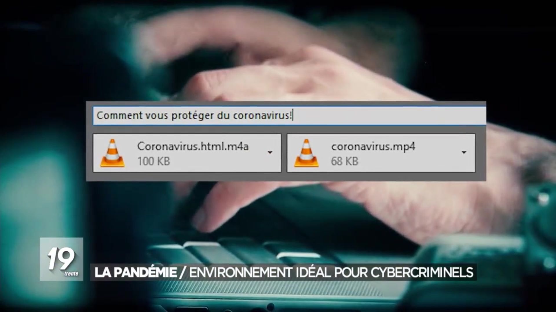 Https Www Rtbf Be Auvio Detail Rocky Lily C Est Dans La Boite Id 2614917 Http Ds Static Rtbf Be Image Media Object Default 16x9 1920x1080 E A B Eab459421bfdbd2352e9846ce306ea94 Jpg Rocky Lily C Est Dans La Boite Tu Aimes Jardiner Rocky Lily