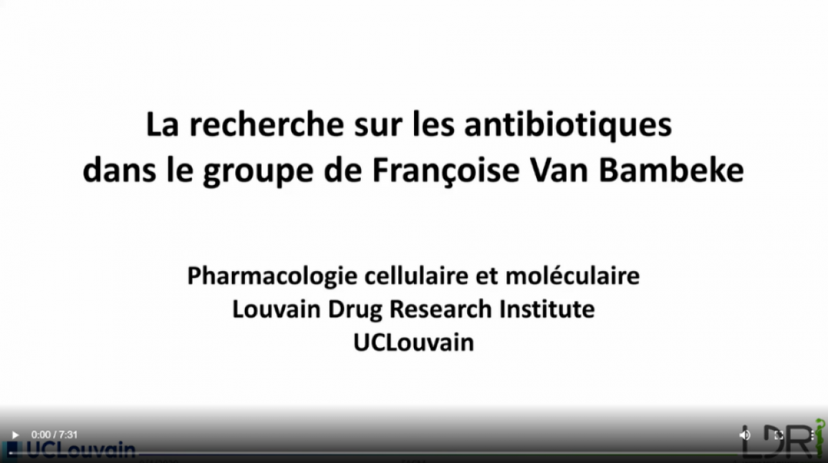 Recherche sur les antibiotiques 