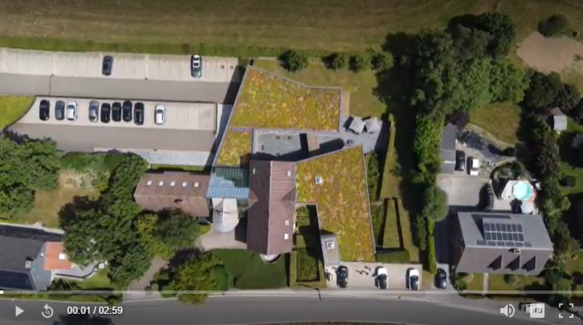 Les toitures végétales, remparts contre les changements climatiques ?