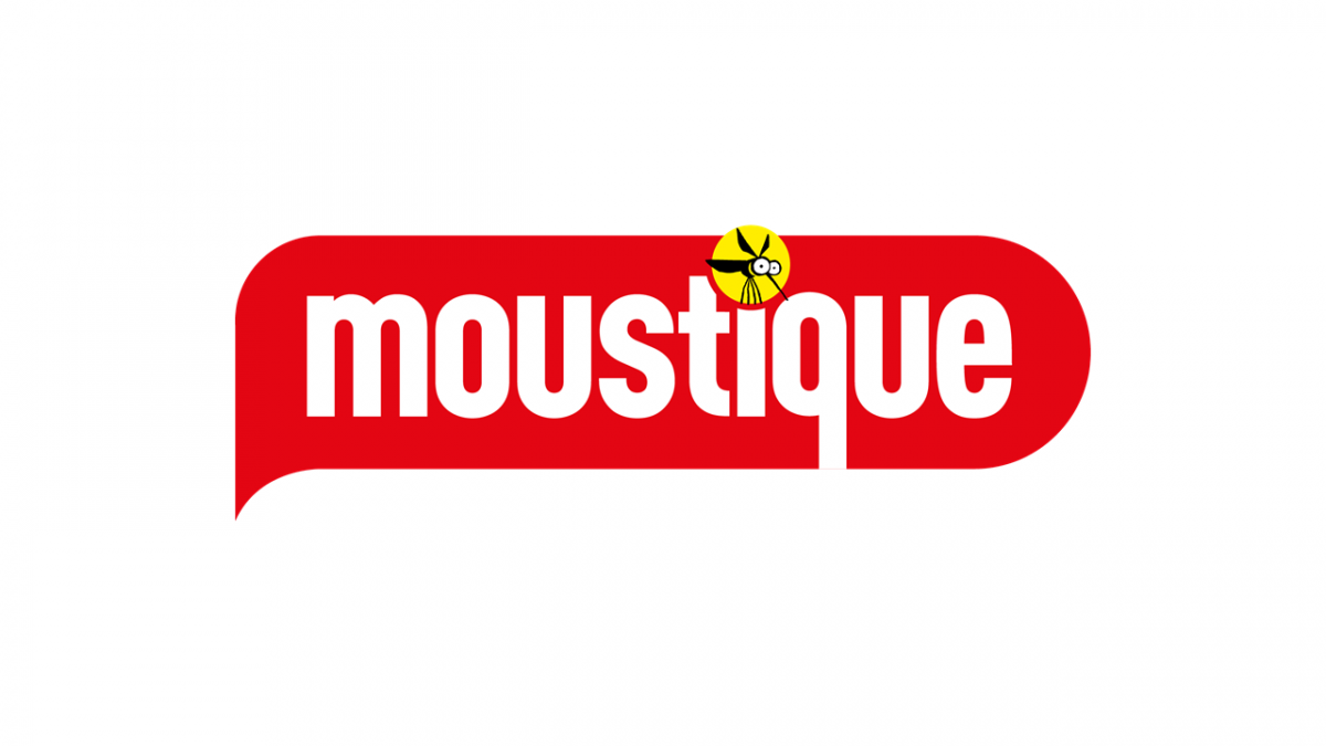 Moustique