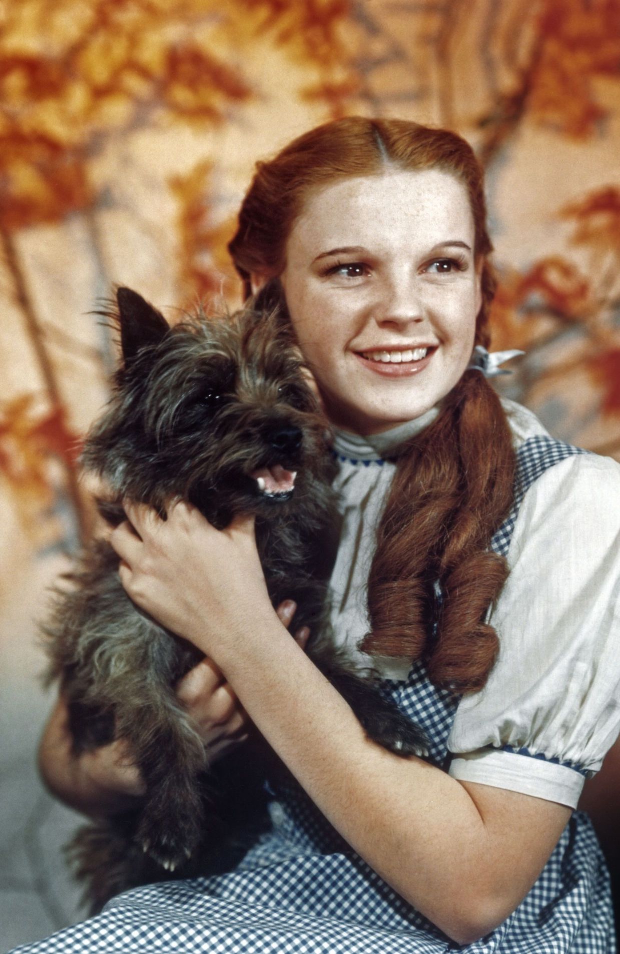Judy Garland dans Le Magicien d'Oz