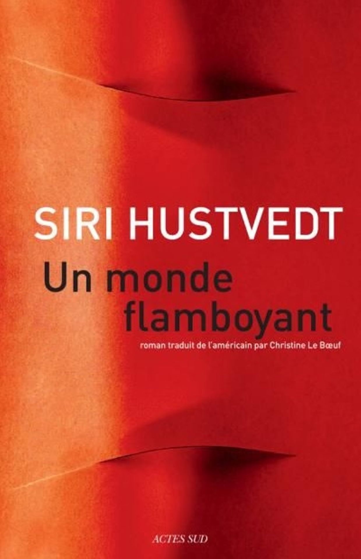 Siri Hustvedt, Un Monde flamboyant
