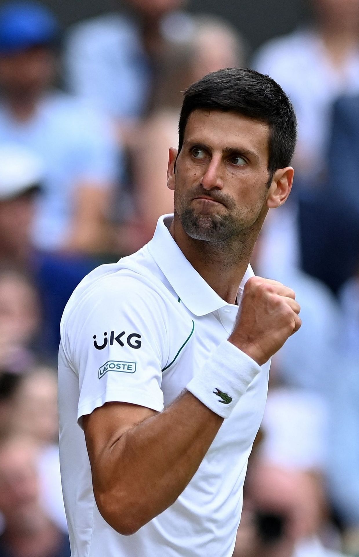 Novak Djokovic en finale de Wimbledon.