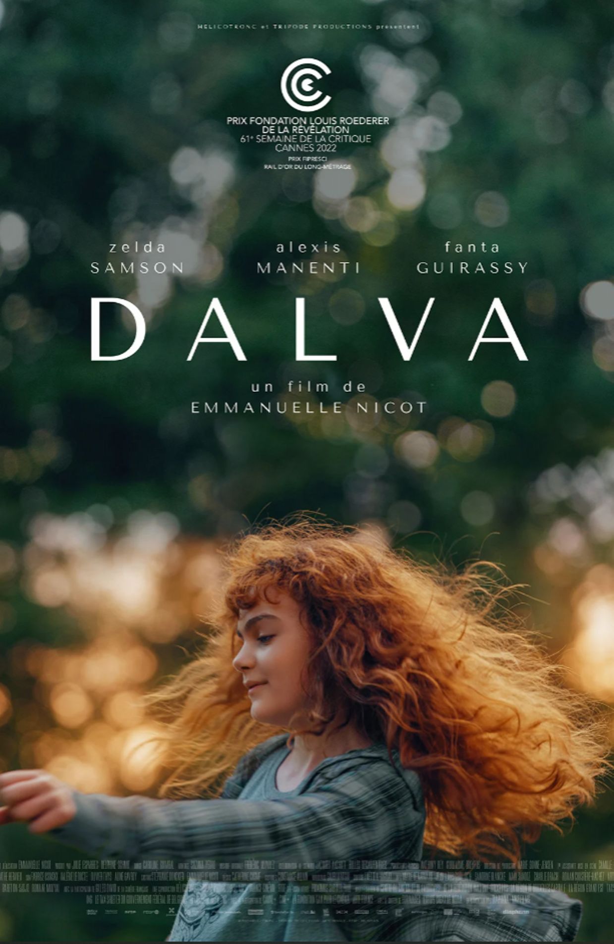 L'affiche de "Dalva"