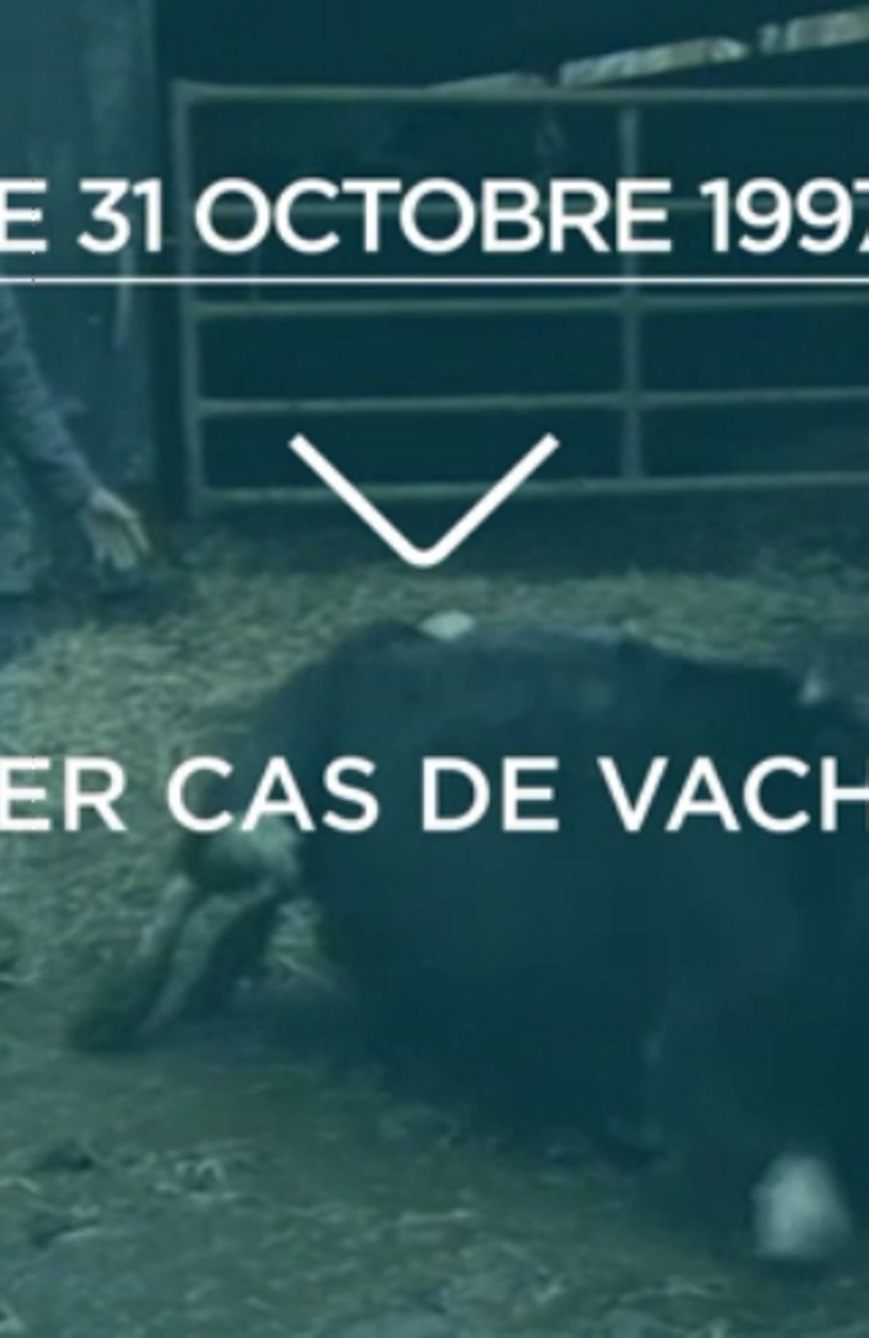 De la vache folle à Veviba: retour sur 20 ans de scandales agro-alimentaires en Belgique