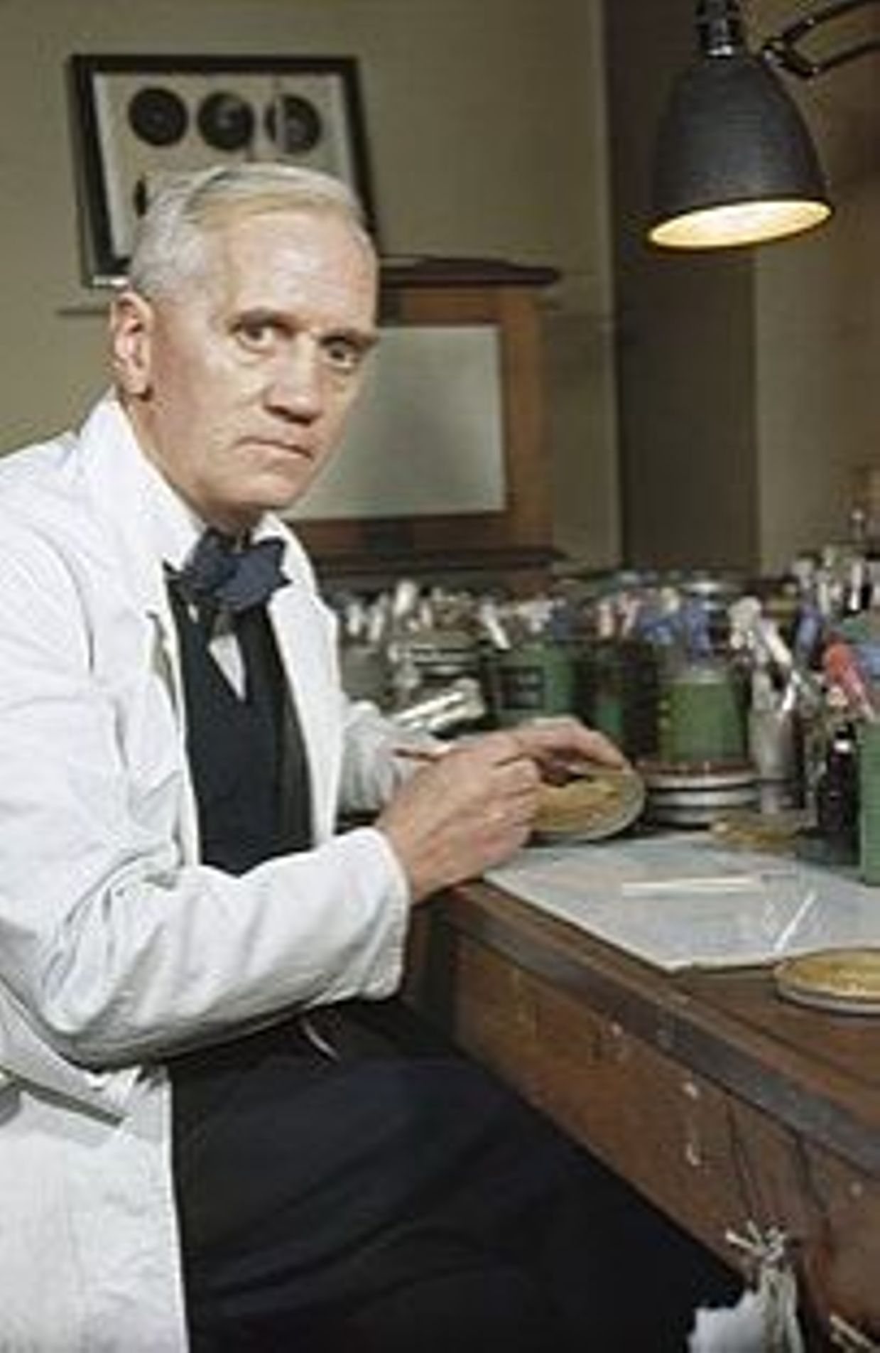 Alexander Fleming dans son laboratoire de l’hôpital Sainte-Marie de Londres.