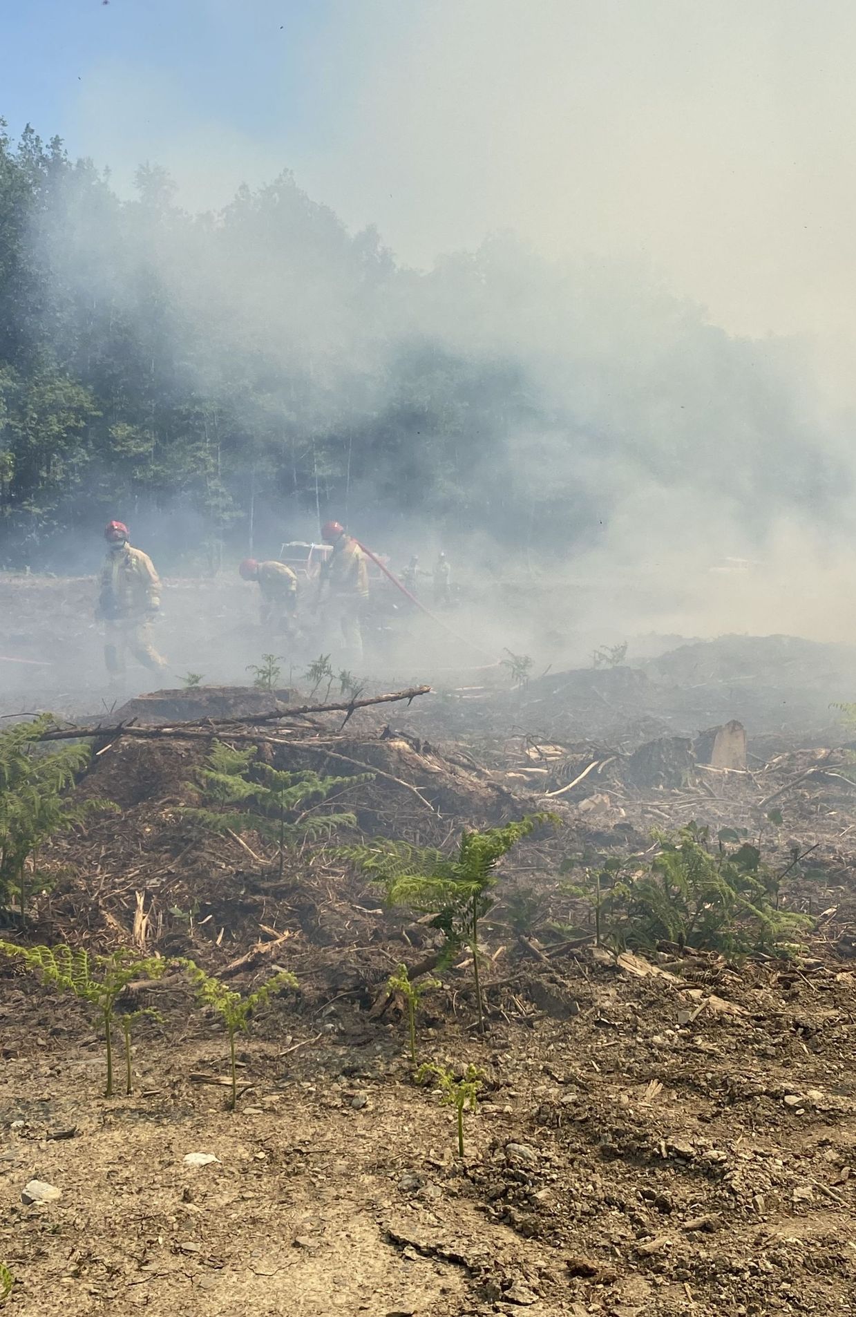 Exercice de lutte contre les feux de forêts.