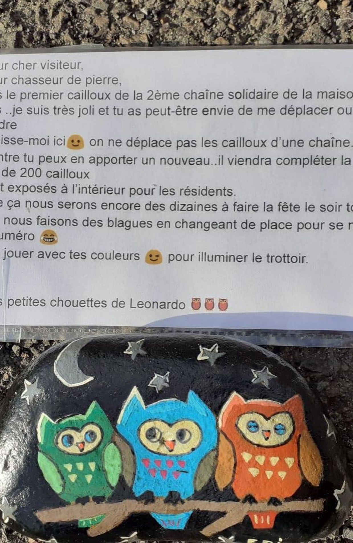 D couvrez la chasse aux pierres color es un nouveau jeu familial