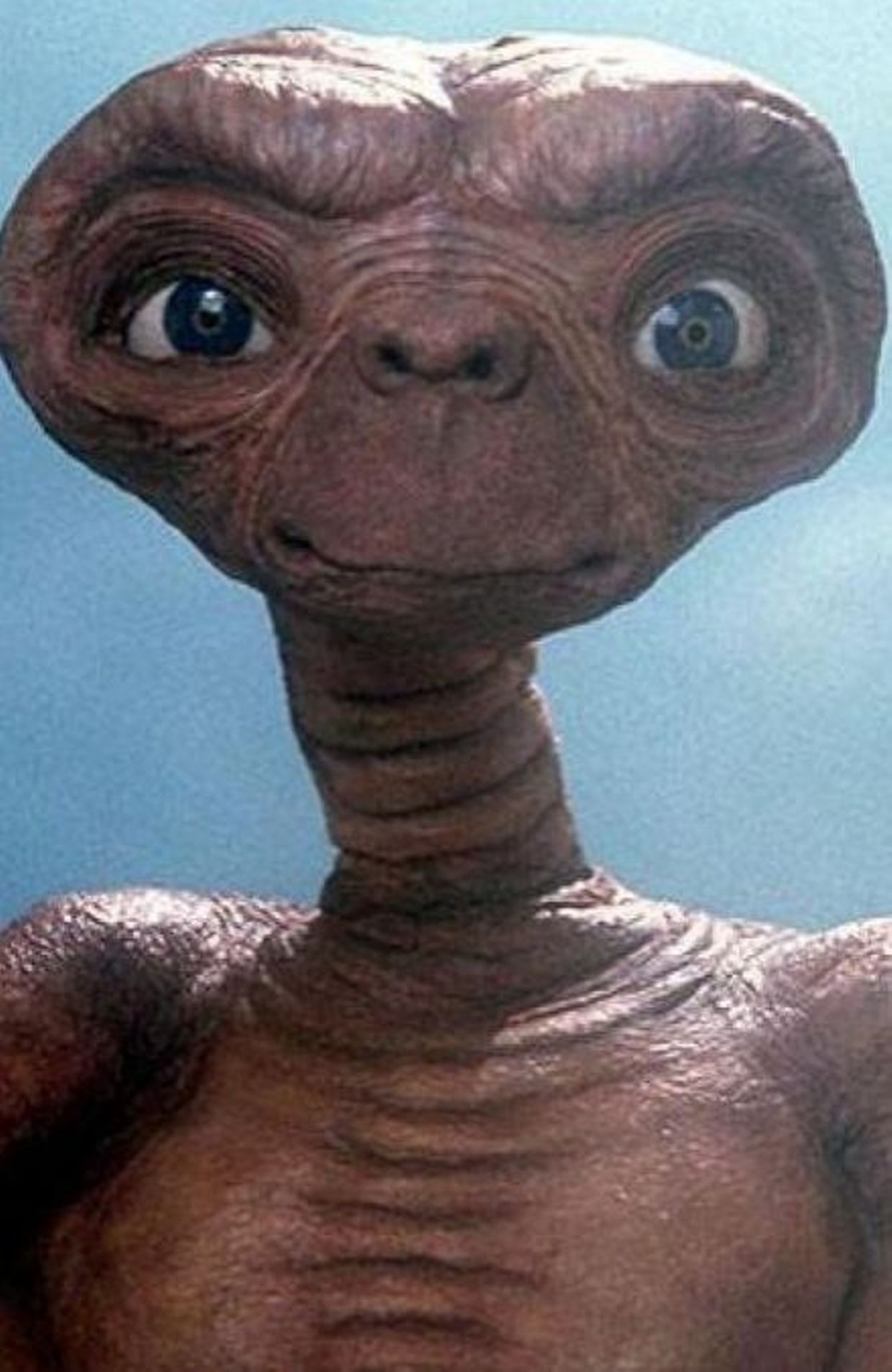 E.T. l'extra-terrestre a 40 ans 