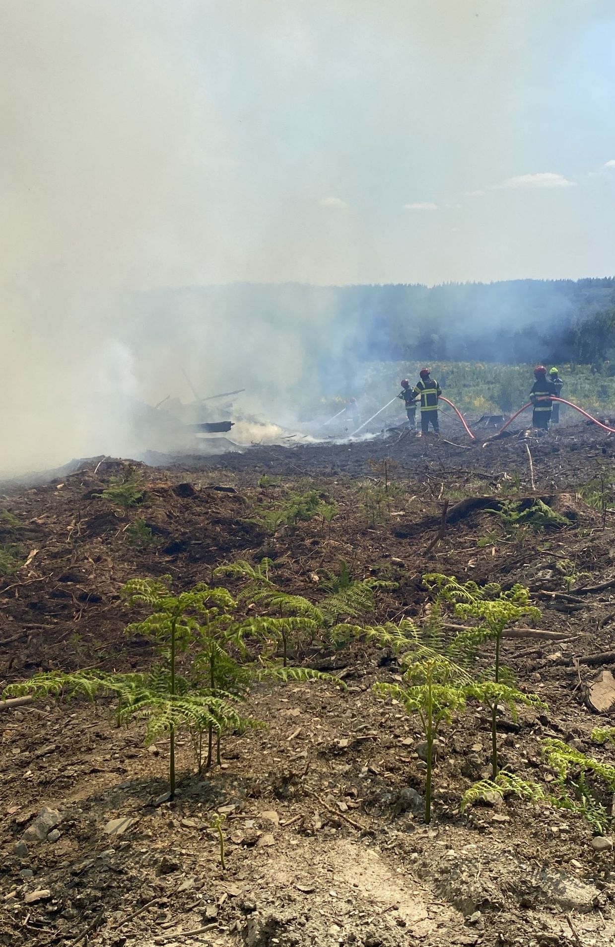 Exercice de lutte contre les feux de forêts.