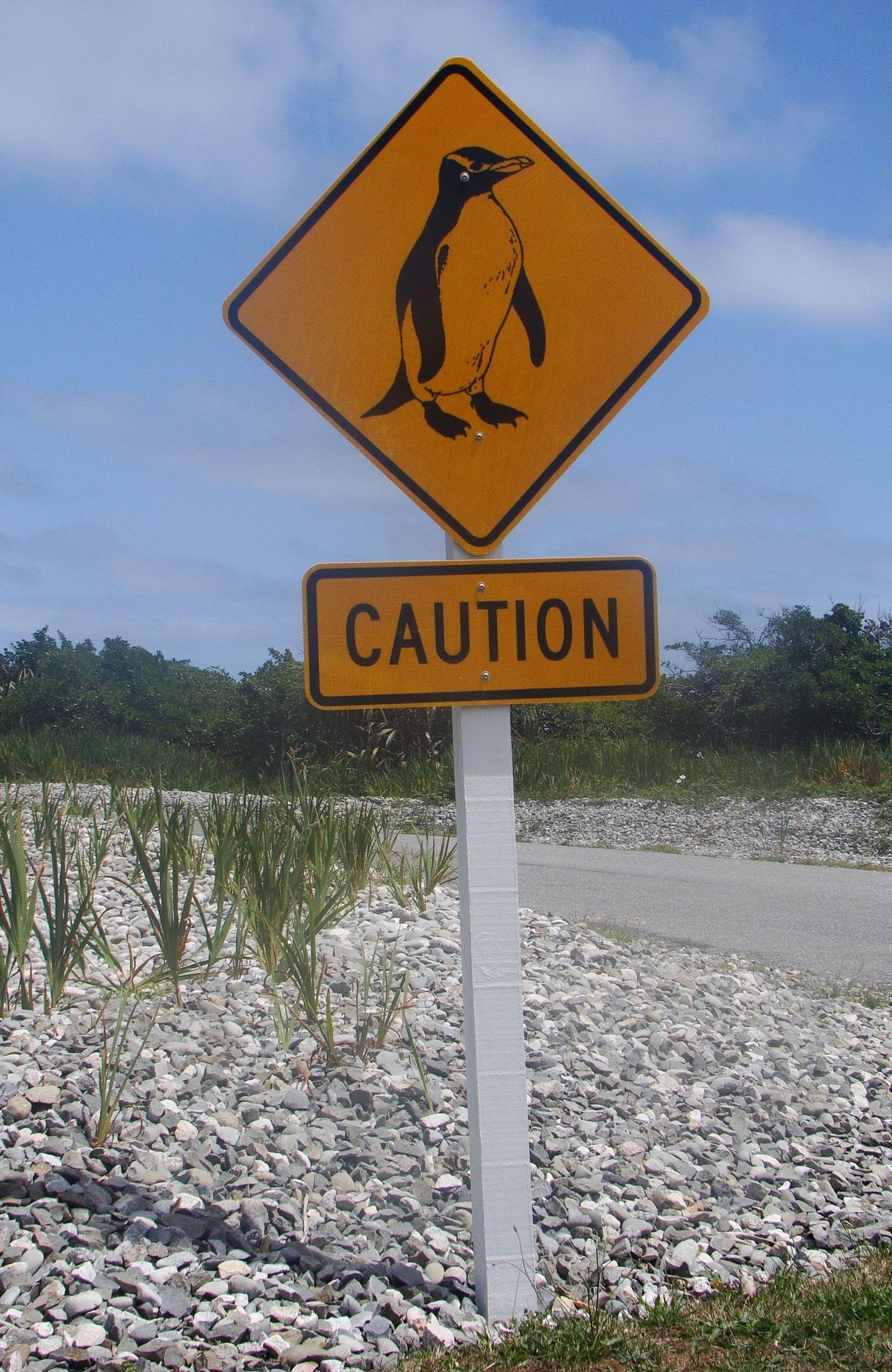 Un panneau indique que des pingouins pourraient traverser la chaussée