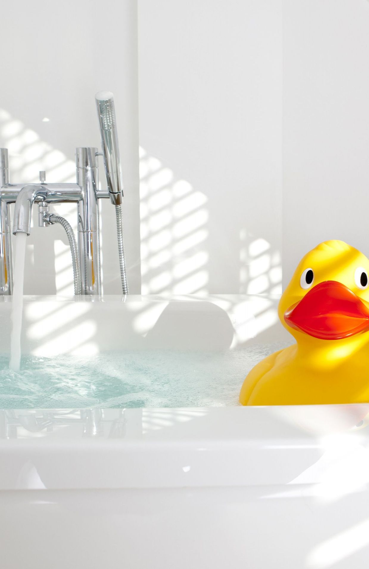 Faut-il bannir les petits canards de nos baignoires ?