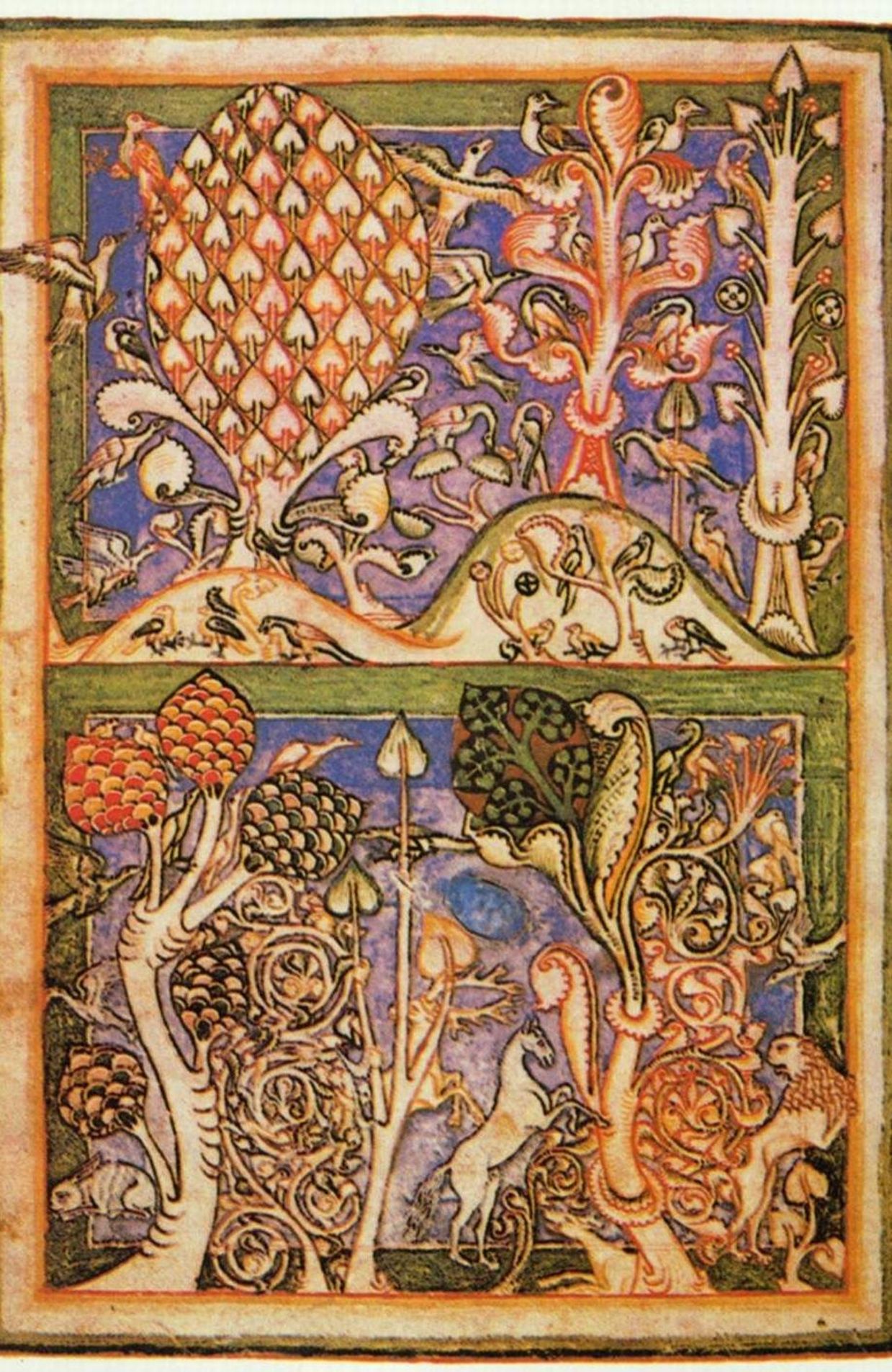 Fragment Codex Buranus