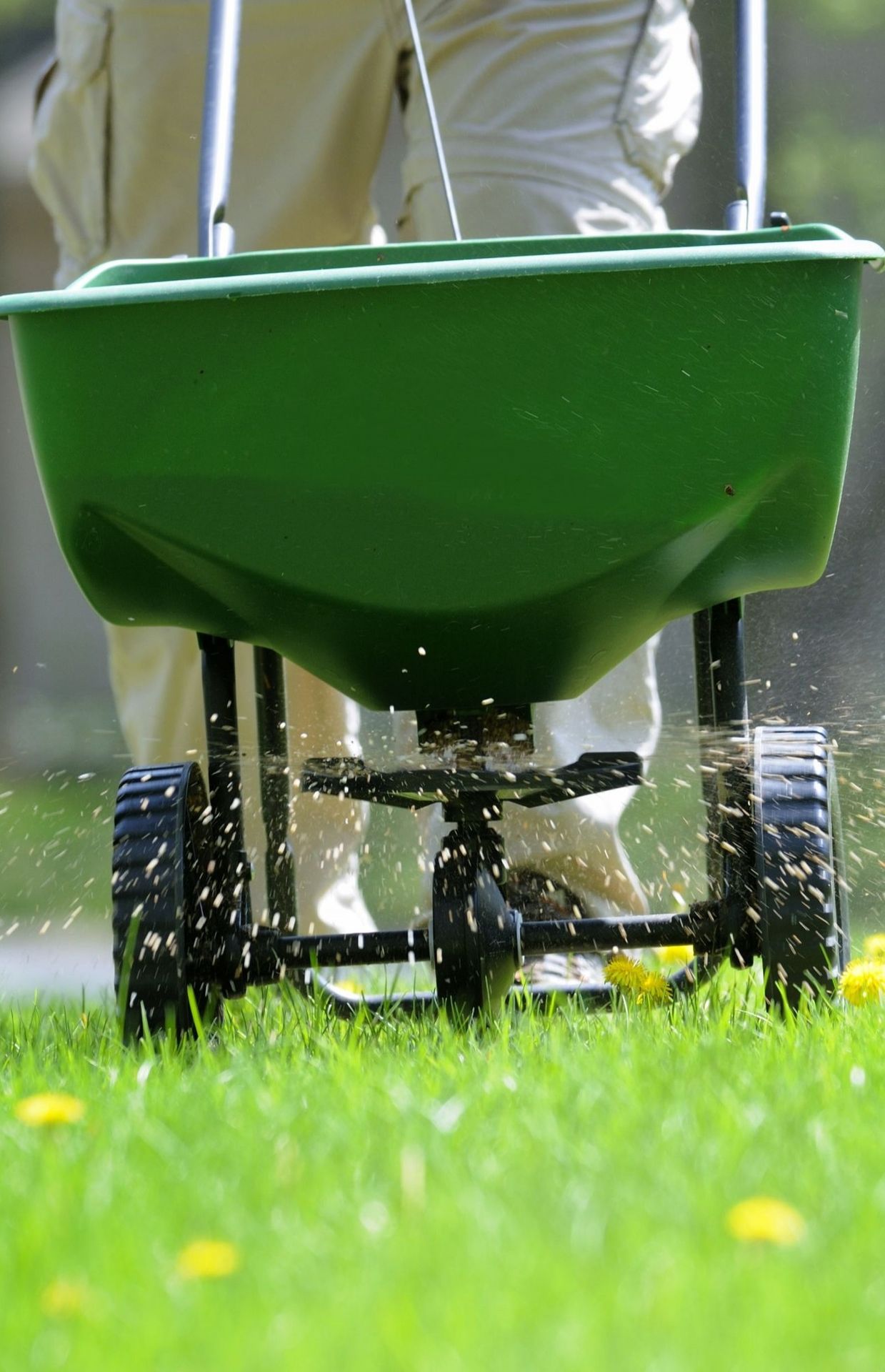 Avec ses besoins en eau, en engrais, en pesticides, en énergie, un beau gazon ras celui d’un green de golf est un non-sens écologique.