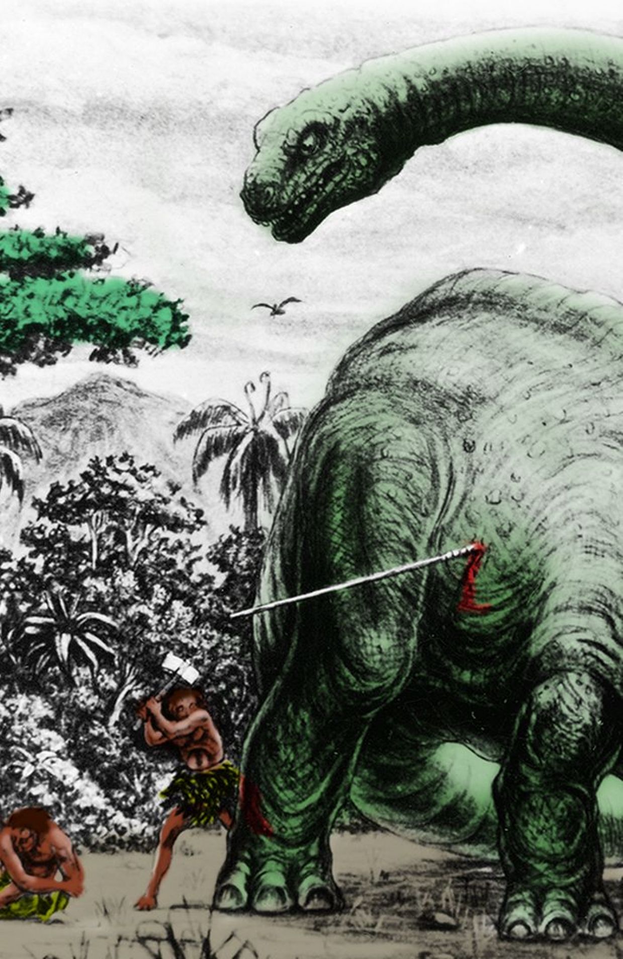 Mokele-Mbembe : Sur Les Traces Du Dernier Dinosaure by Le Comptoir Général  — KissKissBankBank