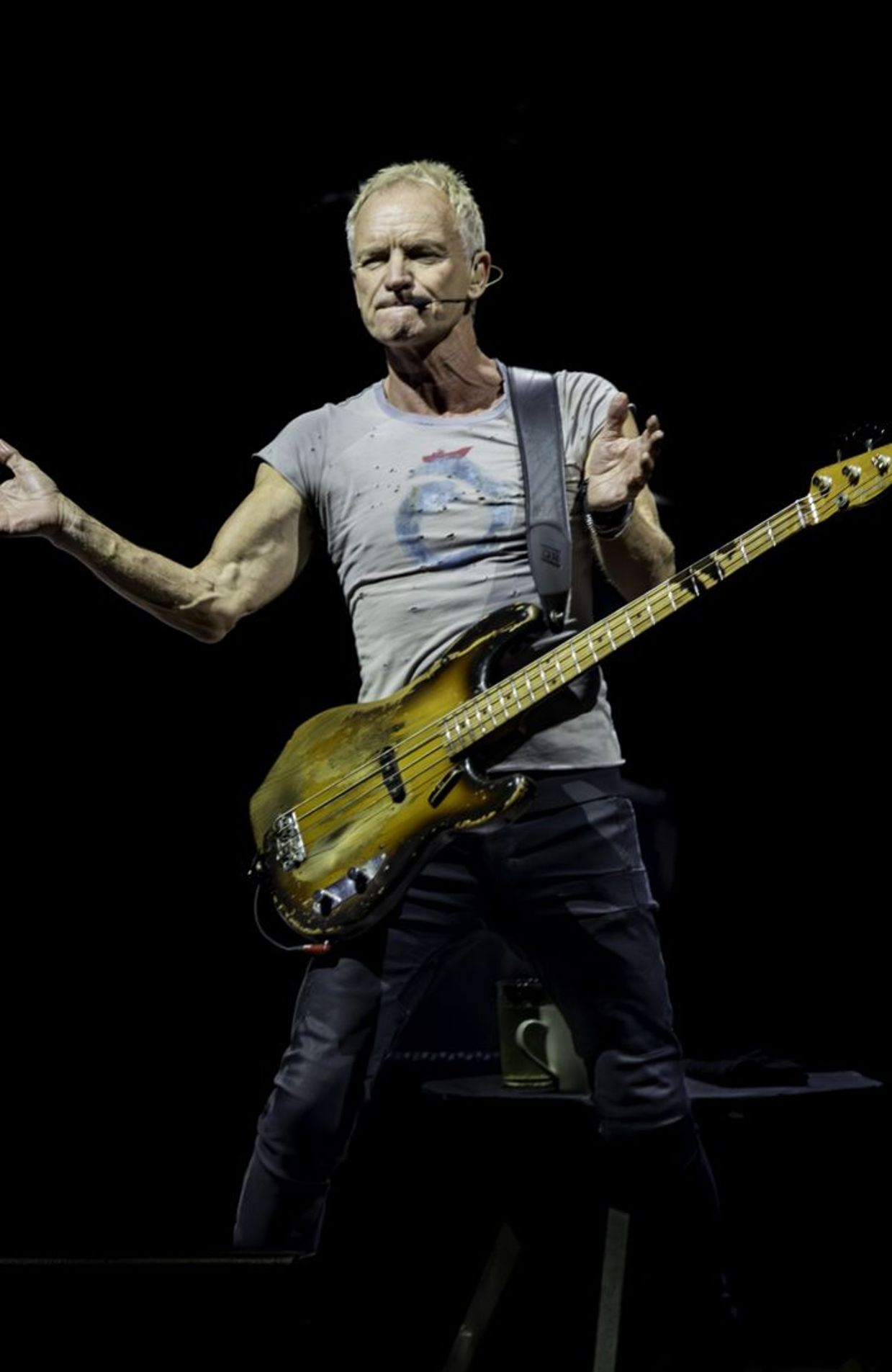 Englishmen in New York - Sting - chanteur du groupe pop-rock The