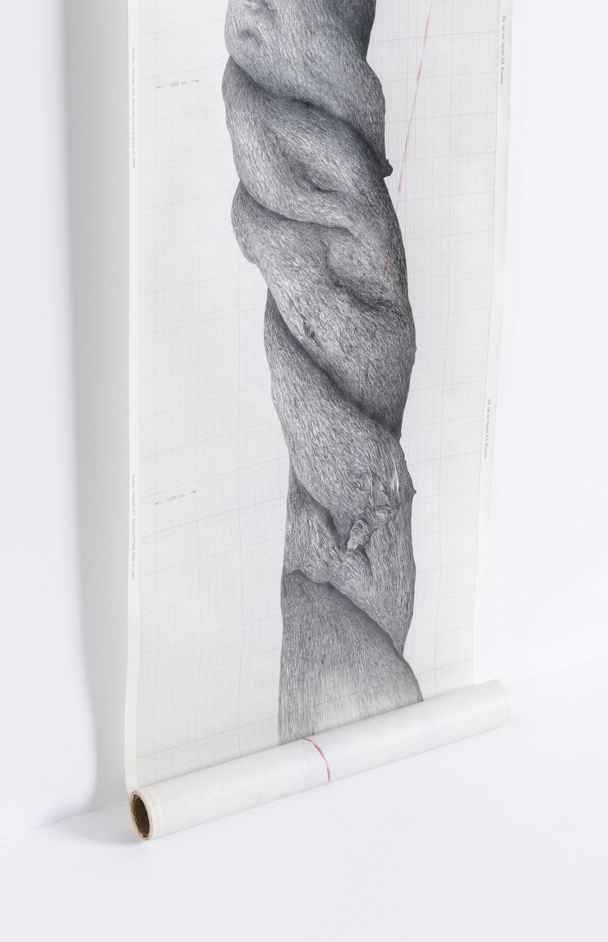 Amélie Scotta, Carbone II, dessin au graphite sur papier millimétré, 250 x 30 cm, 2021
