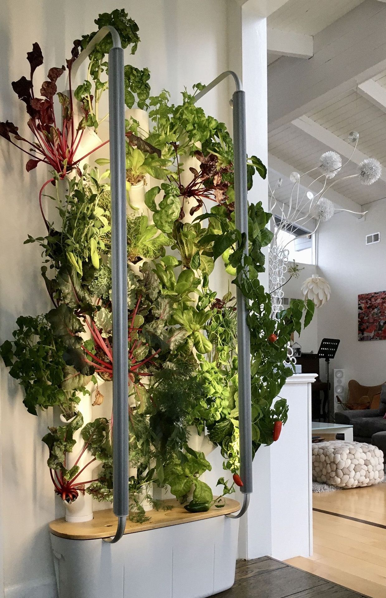 Les jardins intelligents investissent l'intérieur des appartements 