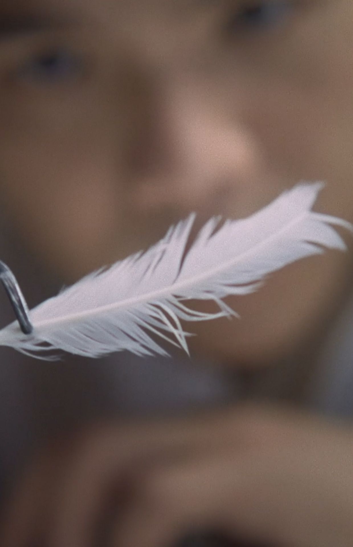 A Ligther Delicacy. Pourquoi ne pas se nourrir à base de plumes ?