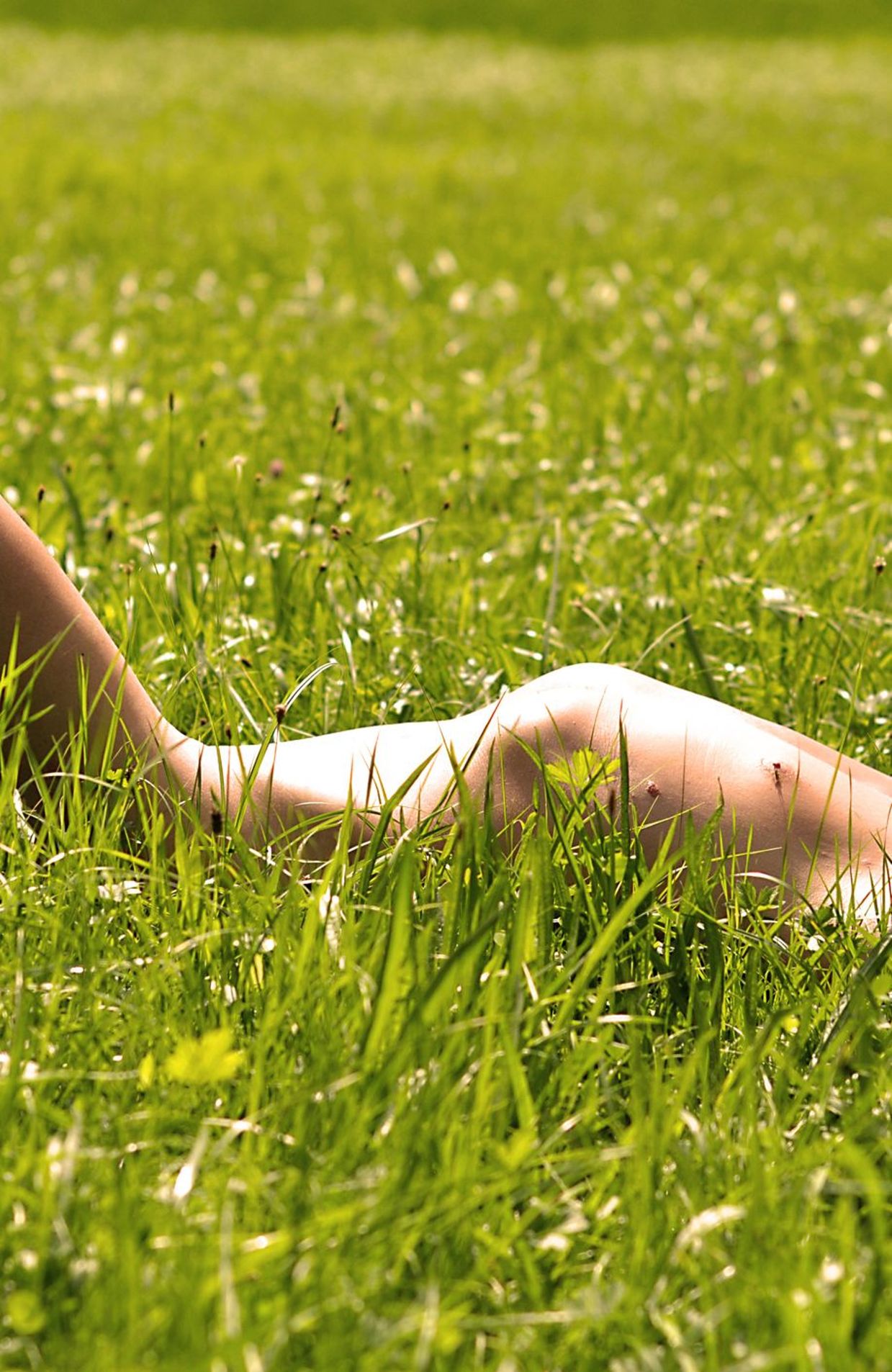 Naturisme et bonnes pratiques : où aller en Belgique - RTBF Actus