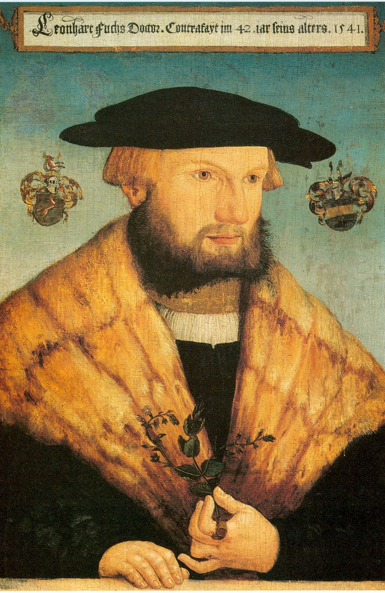 Leonhart Fuchs, médecin et herboriste allemand de la Renaissance, dont le nom à été donné aux fuchsias.