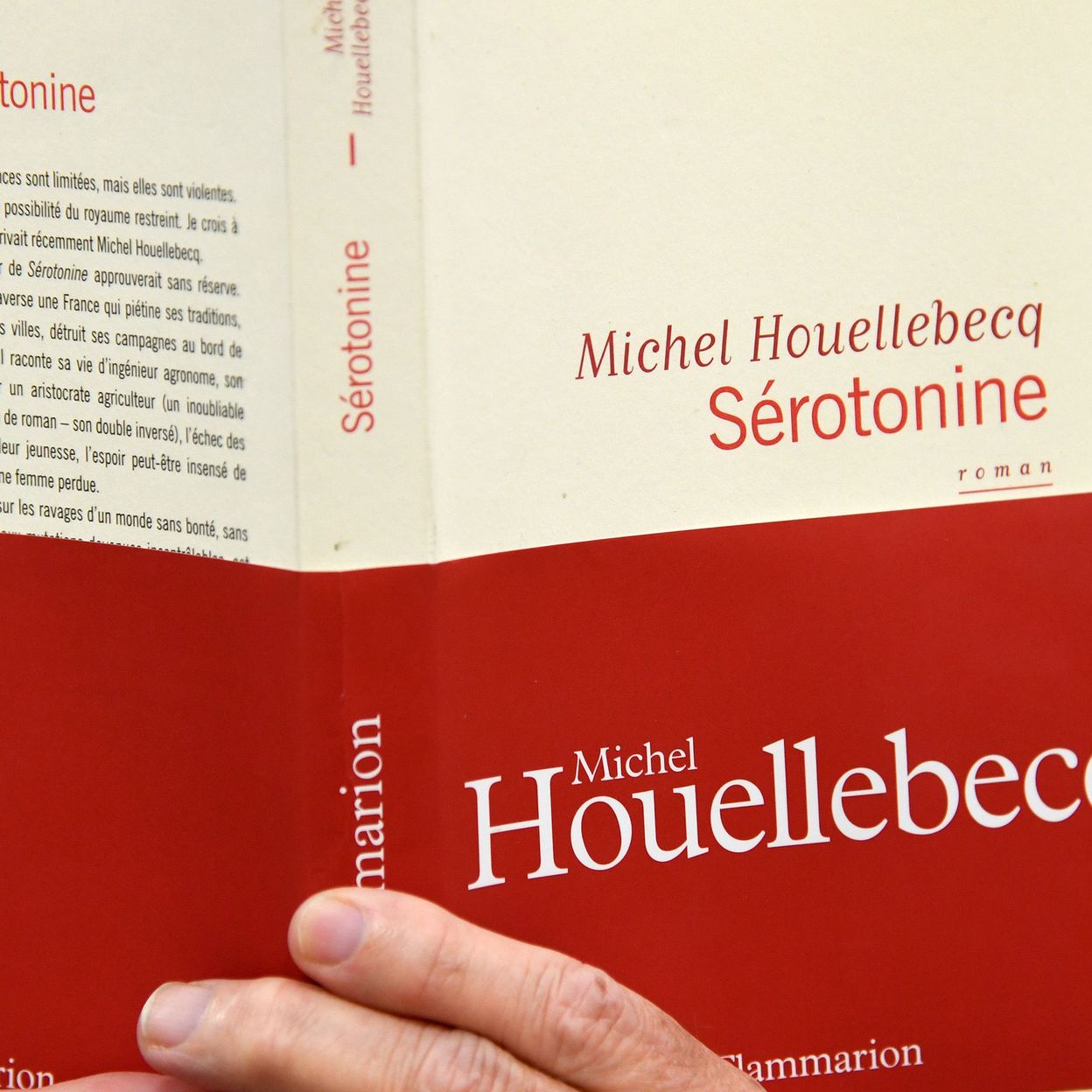 Michel Houellebecq, écrivain visionnaire