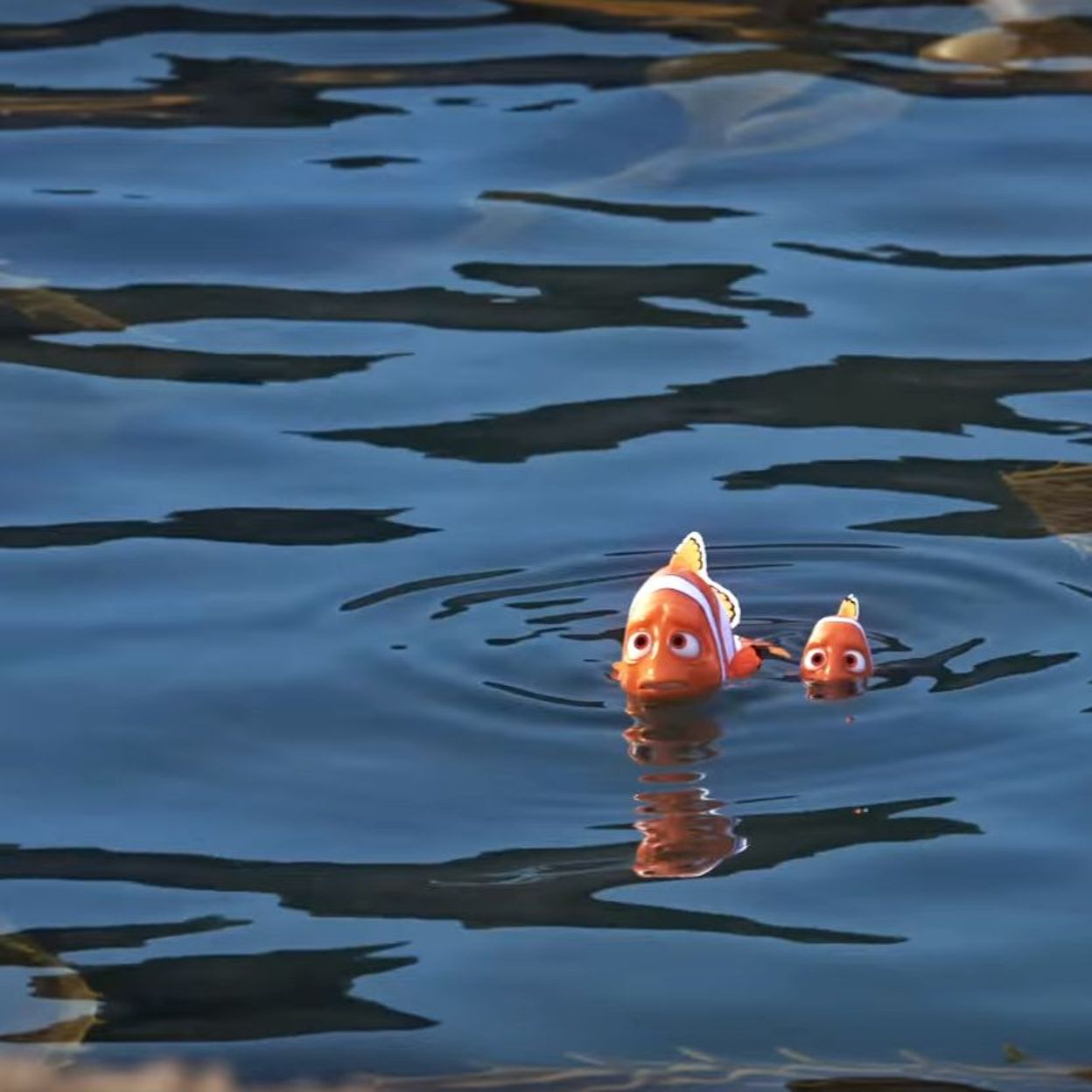 Sia interprète la chanson qu'elle a enregistrée pour Le Monde de Nemo 2  chez Dory elle-même 
