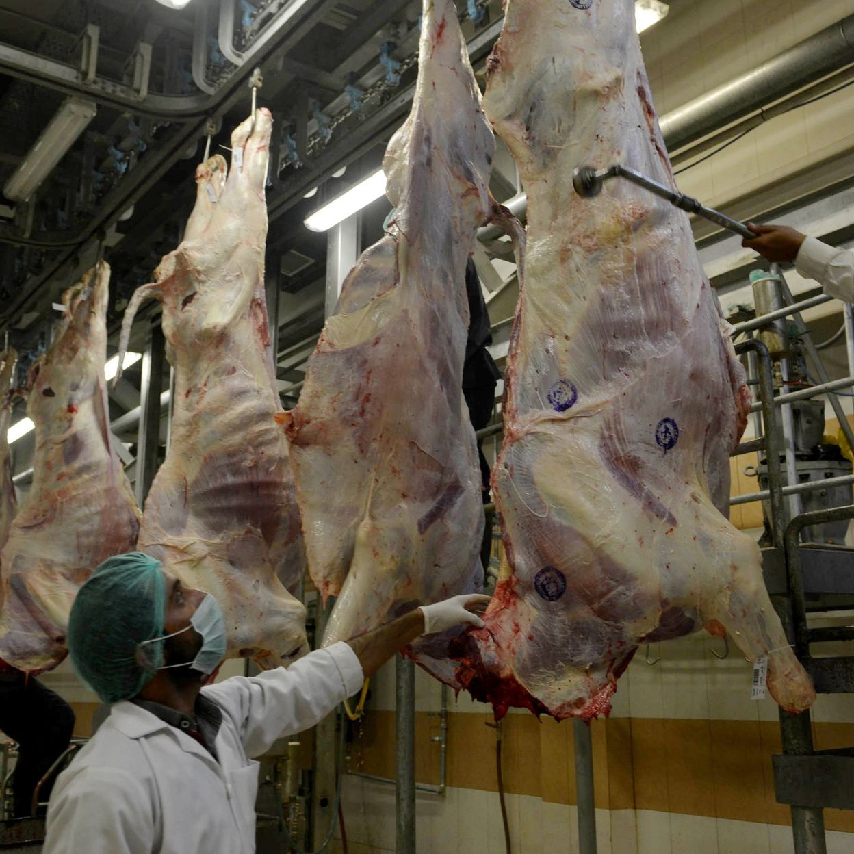 Pourquoi la viande halal est moins chère ?