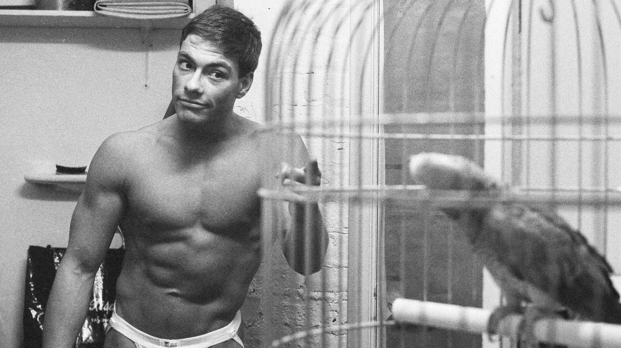 JCVD