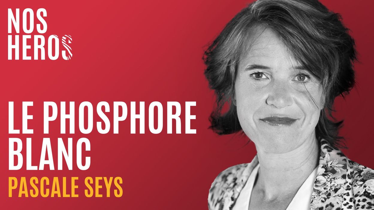 'Si tu vois tout en gris, déplace l'éléphant' de Pascale Seys : une