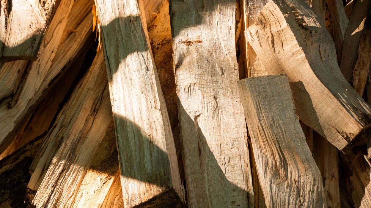 VIDÉO. Comment expliquer la ruée sur le bois de chauffage ? 