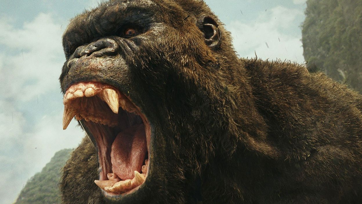 D couvrez les secrets de king kong dans kong skull island rtbf actus