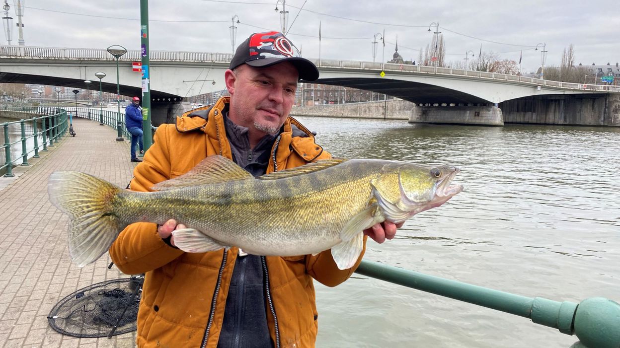 Un poisson carnassier de 85 cm dans la Meuse à Liège: une pêche